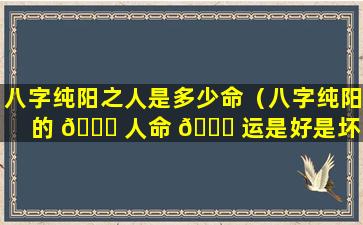 八字纯阳之人是多少命（八字纯阳的 🐈 人命 🐘 运是好是坏）